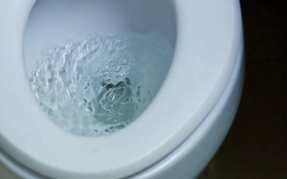 Saving water with a waterless toilet