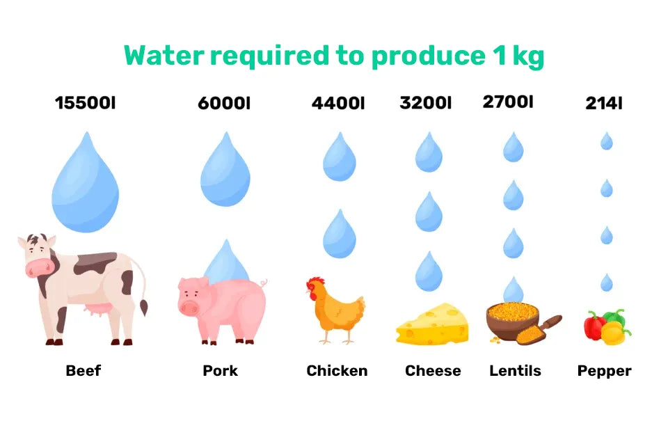 water usage for meat and grocery food