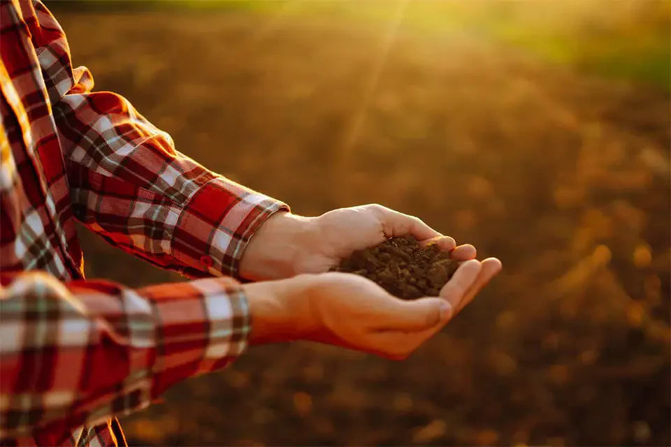 Two hands hold the earth