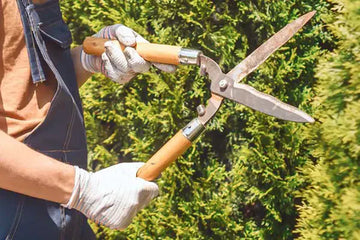 Garden and hedge shears or shredder