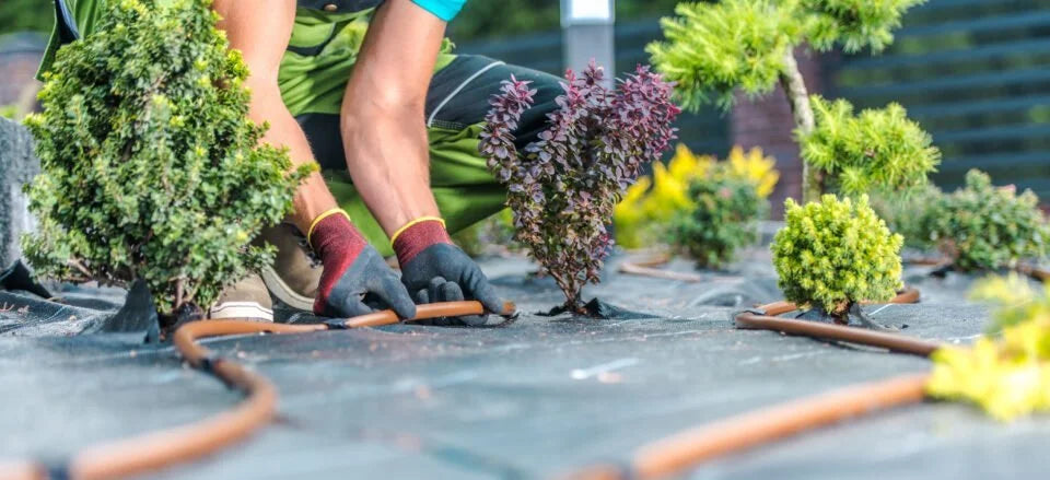 efficient garden watering